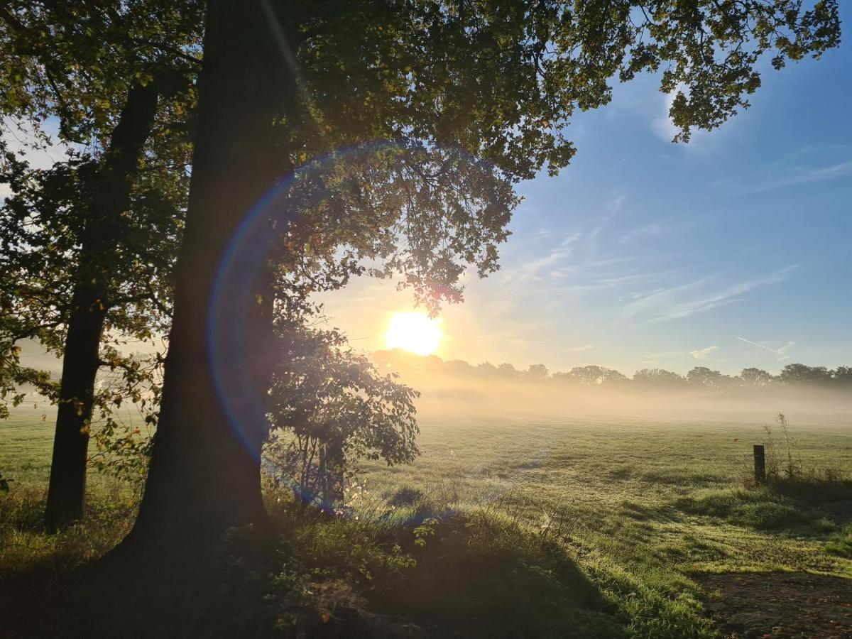 Ferienwohnung In Den Wiesen Wesel  Buitenkant foto